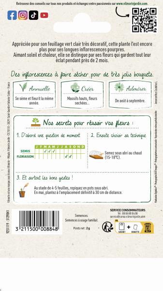 Fleurs - Amarante Queue de Renard - MEDIA_PACKAGING_VERSO